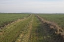 Entre Montdidier et le Frestoy
